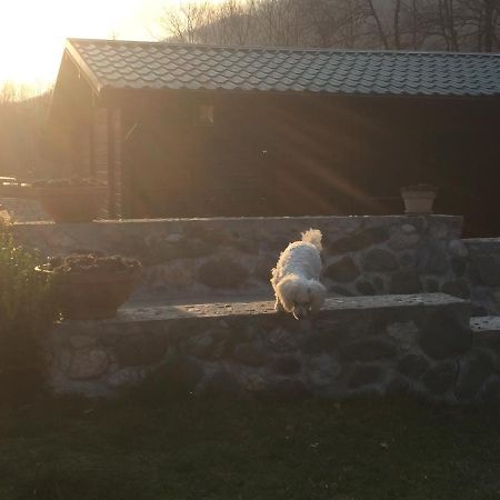Cottage Ravna Rijeka 비옐로폴레 외부 사진