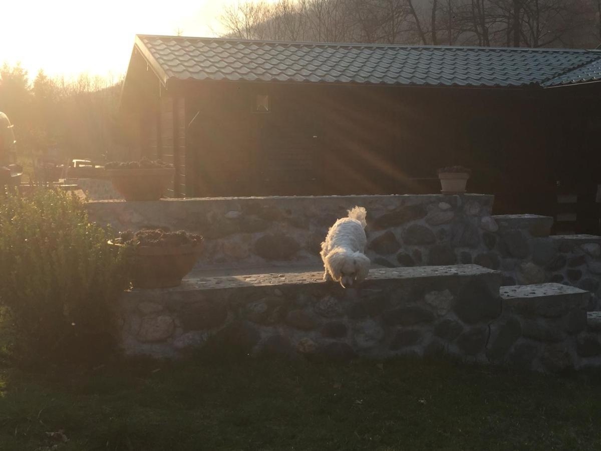 Cottage Ravna Rijeka 비옐로폴레 외부 사진