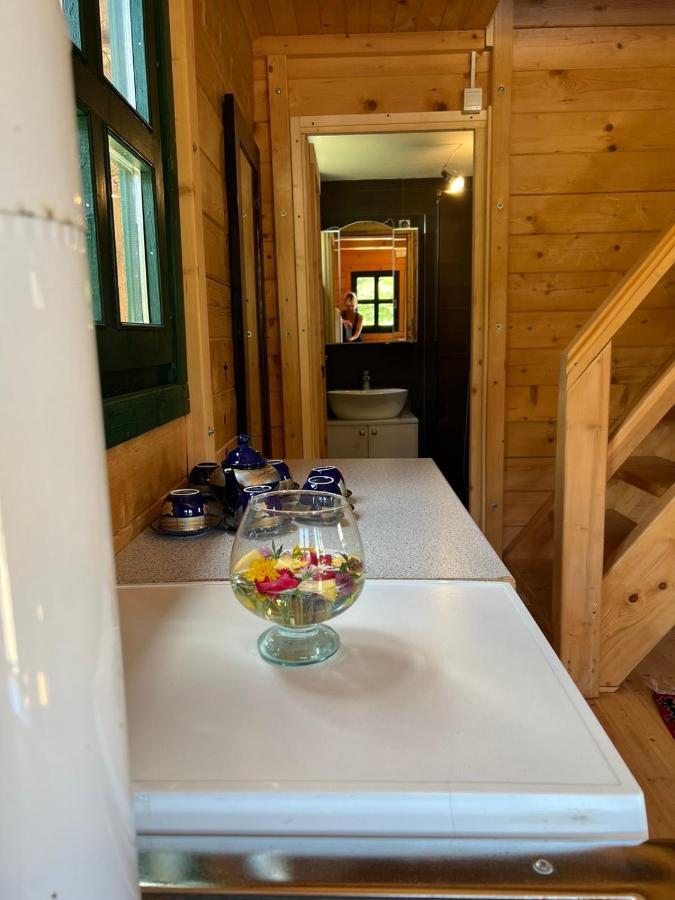 Cottage Ravna Rijeka 비옐로폴레 외부 사진